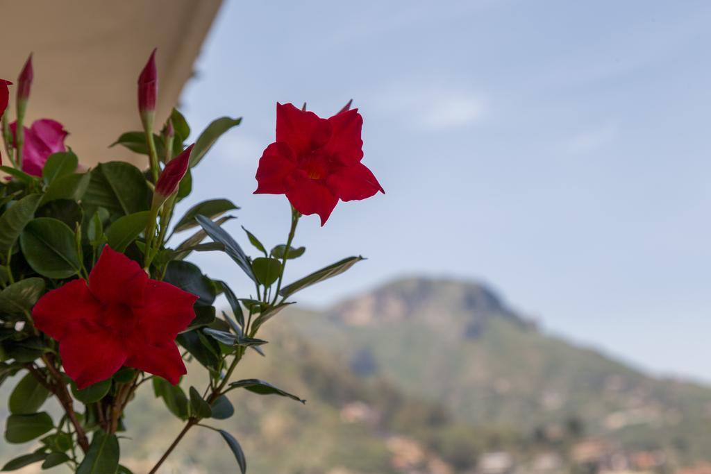 La Guardiola Di Angela E Nino Bed & Breakfast Taormina Exterior photo